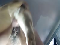 Dog fucking