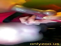 Suck wet dog's dick