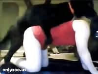 Face reveal after fuck