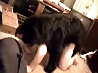 Corin takes dog cock 1 anal gaybeast