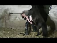Gay Pony