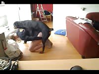 Big ass gay got asshole licked by dog before sex