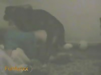 Slut got smashed hard by huge dog cock