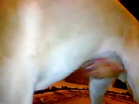 Big dog dick got jacked off by kinky whore