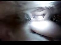 Animal porno of teen getting pussy eaten by dog