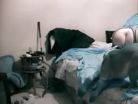 Kinky brunette making a dog her animal sex toy
