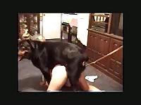Black dog fucking a hot amateur slut