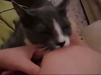 Big tits babe giving milk to her cat in animal xxx