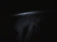 Animal porn tube of beastie gal having animal sex in the dark