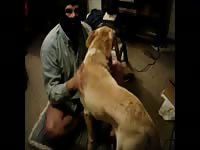 Dog smashing and banging a hot chick