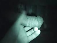 Big horse dick got so erected after intense masturbation