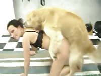 MILF got fucked and pounded b dog's cock