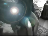 Hardcore amateur beastiality sex with slut and dog