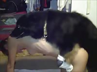 Petite teen beastie gal got fucked by dog