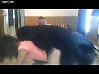 Hot animal threesome of dog and couple