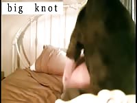 Ohknotty dog sex with dog and whore