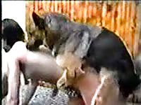 Hot brunette receives dog orgasm after intense sex