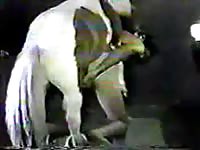 Big horse dick fucking a gay's butthole