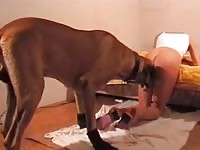Hot wife got fucked and pounded by big dog dick