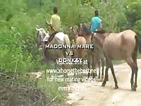 Horses having sex in zoophilia porno