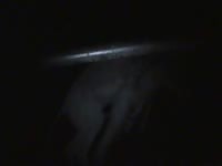 Big ass whore getting smashed by huge animal cock