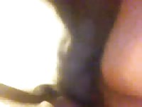 Amateur beastiality sex with slut