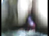 Big ass bitch riding a big dog dick