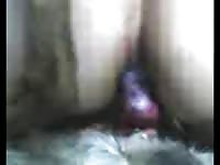 Nasty bitch riding dog's dick until animal orgasm