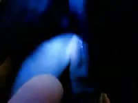Big ass babe got fucked by black dog xxx