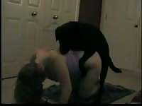 Beautiful babe tamed her dog to have dog sex
