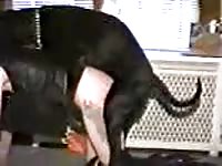 Amateur beastiality sex with dog and slut