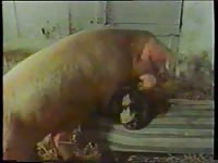 Kinky lady having farm sex with a goat