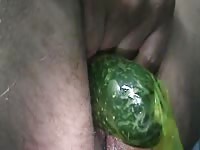 Kinky dude putting a cucumber inside his ass