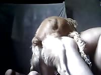 Brown dog wrecking a whore's pussy