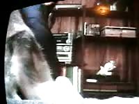 Sexy chick with big ass got fucked by dog's hard dick
