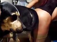 Sexy teen beastiality lover got banged hard by dog