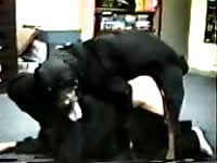 Brunette getting fucked hard from behind by dog xxx