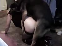 Black dog banging hard the pussy of slut