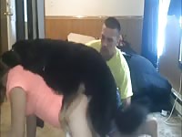 Black dog fucking a sexy brunette in hot threesome