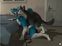 Furry dogs having sex on the bed in zoophilia xxx
