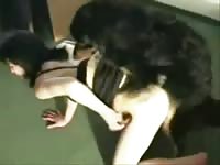 Black dog fucking a petite chick