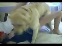 White dog banging the tight pussy of petite slut