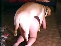 Dog smashing a sexy teen beastiality lover