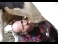 Kinky gay beastiality lover making a horse cum