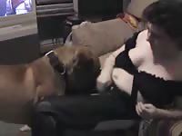 Naughty brunette got pussy eaten and fucked by dog