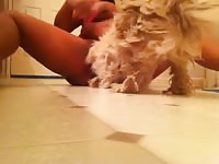 Brunette getting her pussy eaten by cute furry dog