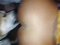 Dog sniffing and eating the ass of beastie gal