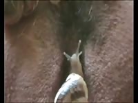 Sexy naked slut with snails going in her pussy