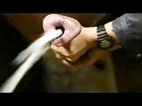 Nasty dude jacks off horse dick and making it have horse orgasm