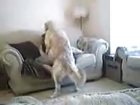 Sexy chick got her jeans ripped for dog sex